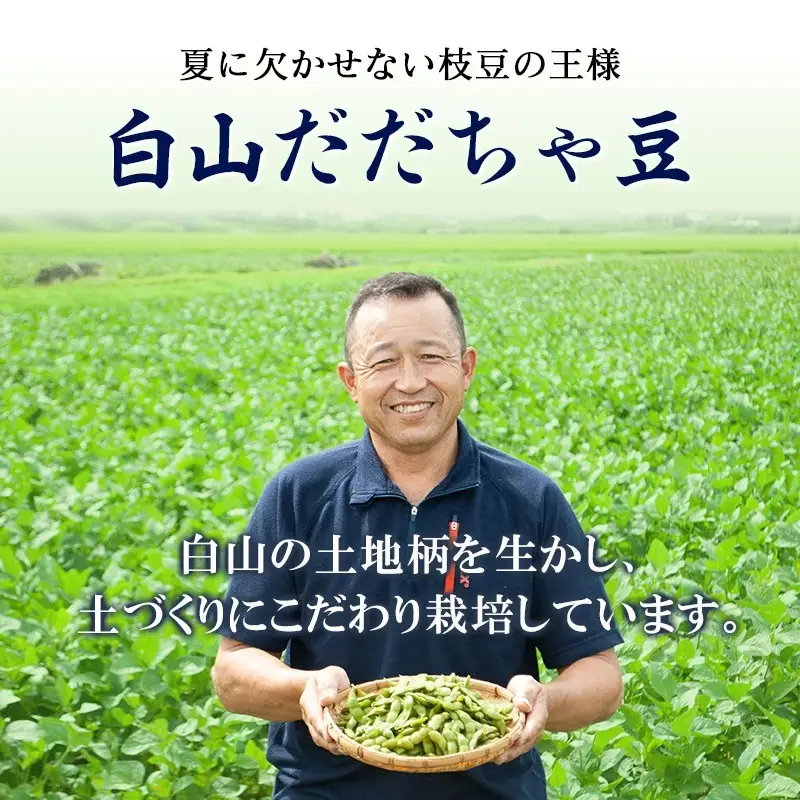 【令和8年産先行予約】【訳あり】白山だだちゃ豆　3kg（1kg × 3袋）　長五郎
