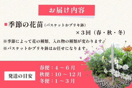 【定期便3回】季節の寄せ植え（ガーデニング ギフト寄せ植え 贈答用寄せ植え 母の日 誕生日 記念 定期便）
