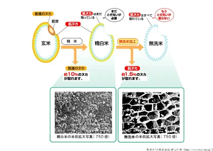 BG無洗米コシヒカリ 5kg×3ヵ月 定期便 [毎月] 令和7年産 愛を米 時短 BG 無洗米 こしひかり 島根県産 新生活応援 お試し 節水 アウトドア キャンプ 東洋ライス  【価格改定X】【45-SS-63】