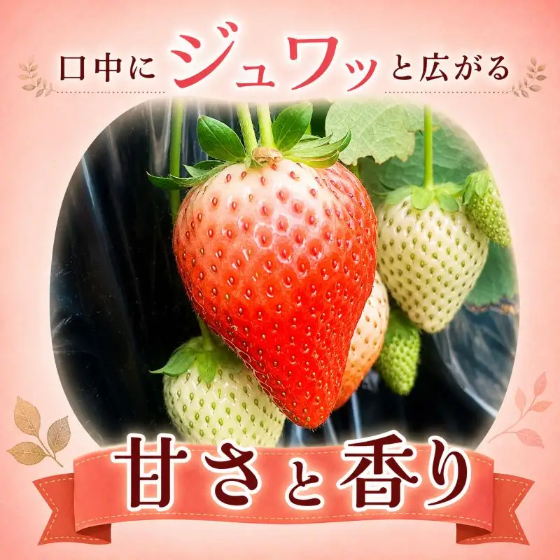 やさしさ仕立ての とちあいか 300g×2P 【2027年先行予約】 栃木県 矢板市