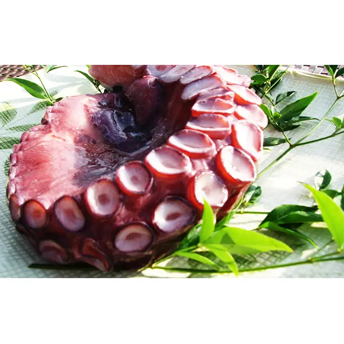 丸々太ったボイルタコ 1本 魚貝類 たこ タコ 茹で 刺身 たこ焼き 炒め物 酢の物 フライ 天ぷら 冷凍 日本海産 惣菜 日本酒 肴 珍味 日本酒 お取り寄せ 食品 食べ物 おつまみ 贈り物 プレゼント 家庭用 自宅用 送料無料 シーフード myz02