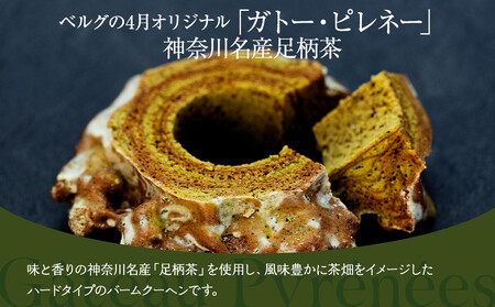 【ベルグの4月】ガトー・ピレネー　神奈川名産足柄茶 ANW0005