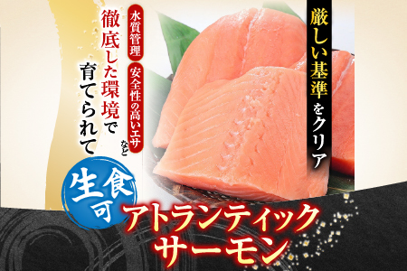 生食可アトランティックサーモン3～5P(計900g前後) A-81023