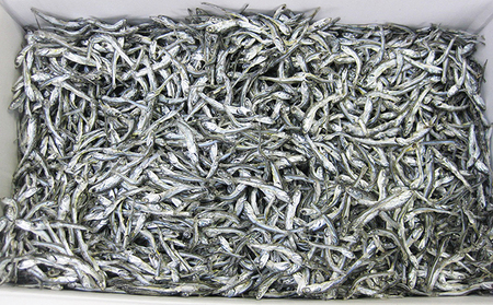 じゃこ煮干し 220g 2袋 × 海鮮 干物 おつまみ じゃこ煮干し