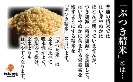 令和8年産・新米 (無洗米) 定期便 ≪6ヶ月連続お届け≫ あきさかり 10kg × 6回 生活応援 [K-0201_05]