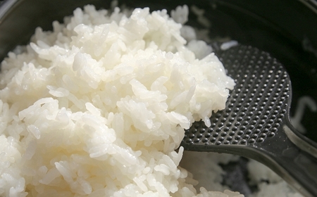 【令和7年産】難関突破米5kgと森のくまさん5kg 白米食べ比べ 精米 熊本県 南関町産 単一原料米 ヒノヒカリ 産地直送 コメ お米 祈願米