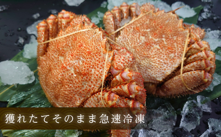 訳あり 3D冷凍 ボイル 毛がに 500g前後×2尾 毛蟹 毛ガニ