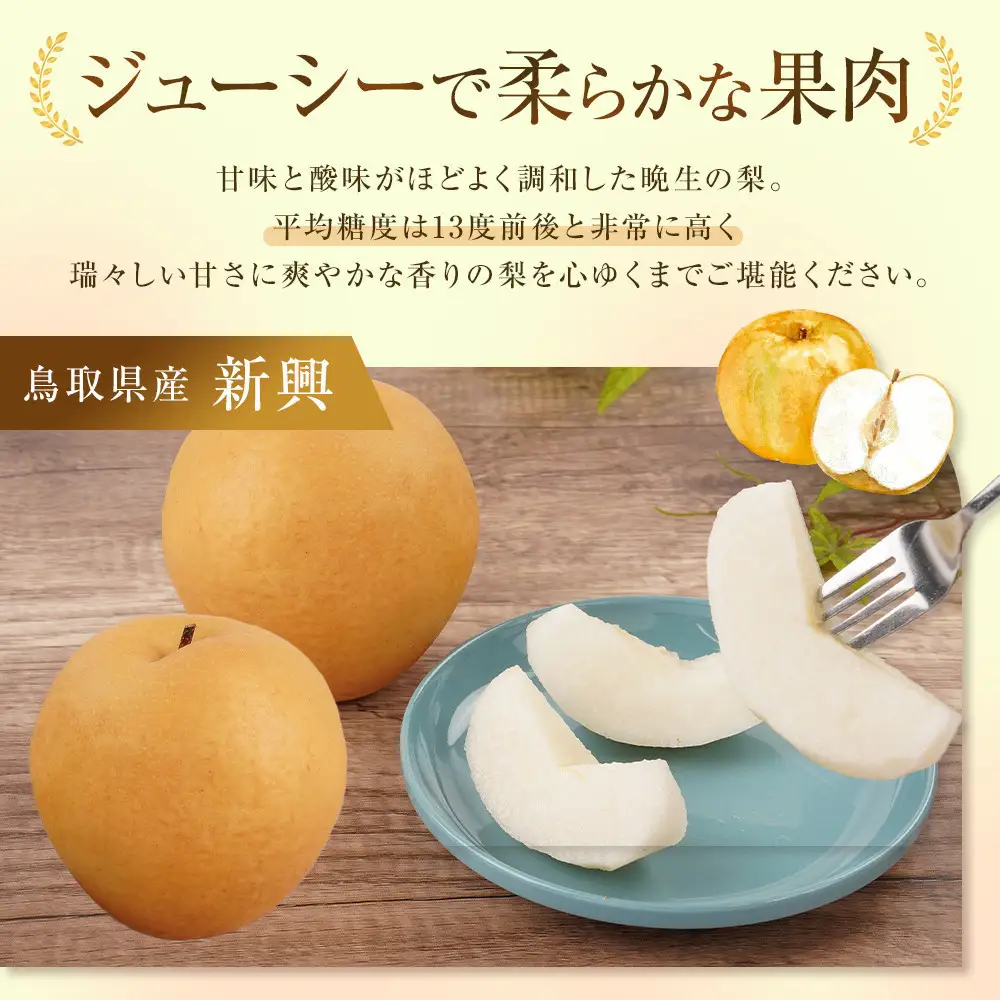 訳あり 鳥取県産 新興 梨 5kg