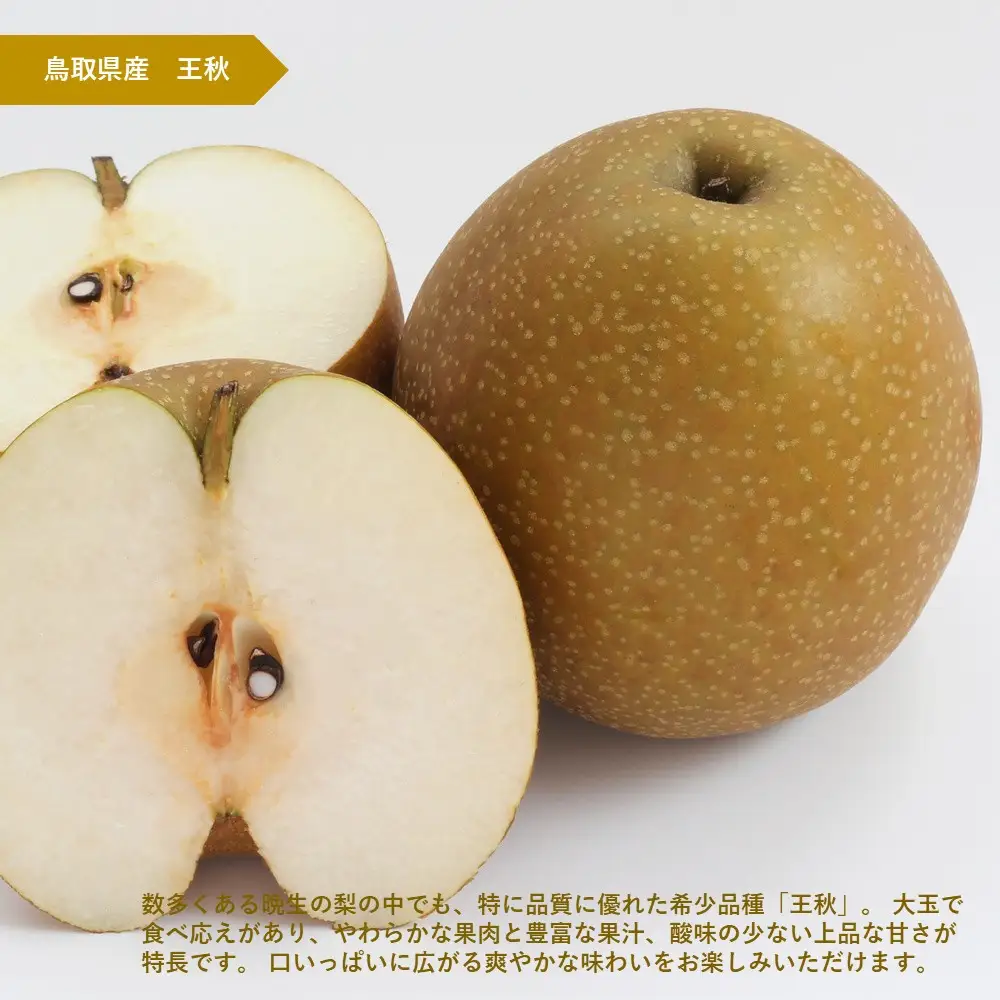 訳あり 鳥取県産 王秋 梨 5kg