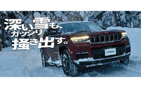 ダンロップタイヤスタッドレス　WINTER MAXX SJ8+ 225/55R18 98Q 2本セット ダンロップ タイヤ 車 くるま クルマ SUV 福島県 白河市 ふるさと納税 F24R-150