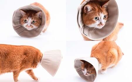 【Lサイズ】ぽぽねこ 軽くて柔らかい猫用エリザベスカラー 傷口が見えにくい・ソフト・軽量タイプ「共通返礼品」 | 布製 防汚 撥水 撥油素材 エリザベスカラー ペット ペット用品 ねこ ネコ 茨城県 守谷市