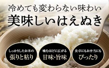 FYN1-227 令和7年産 山形県産 はえぬき 20kg 2025年 お米 米 米米 ごはん ご飯 白米 国産 ブランド米 節水 時短 冷めてもおいしい お取り寄せ 食品 山形県 西川町 月山