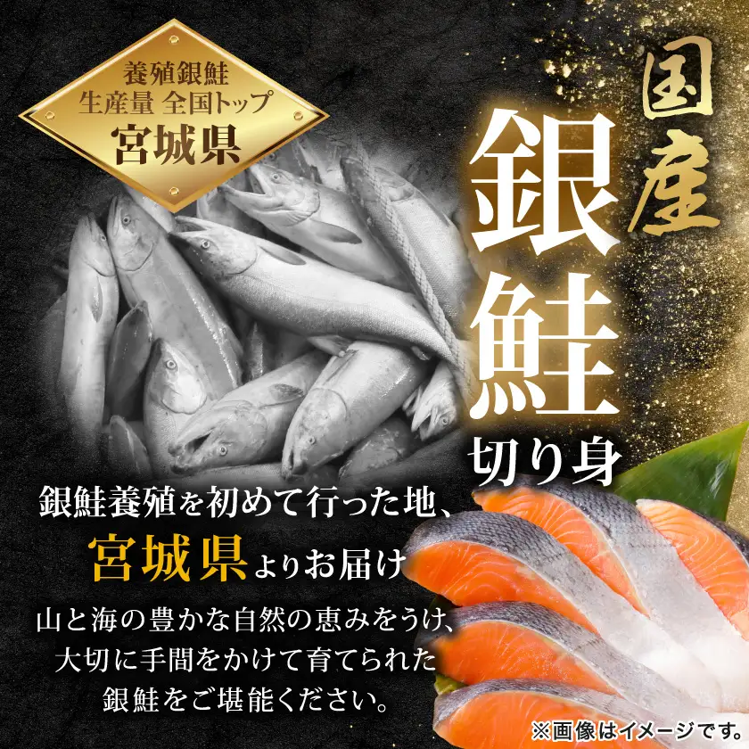 訳あり 宮城県産　銀鮭　切身　甘塩　約3kg　国産/三陸　女川町【配送不可地域：離島】【1641035】