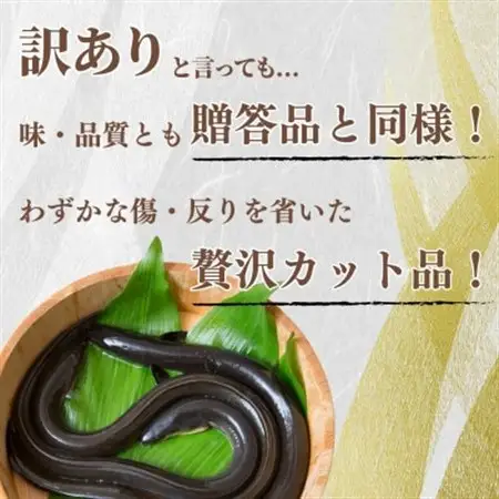 【訳あり】静岡県産 うなぎ蒲焼 カット 100g×3パック 計300g (タレ・山椒付き) 国産【配送不可地域：離島】【1669126】