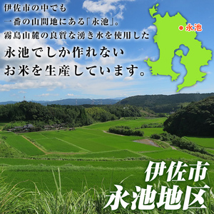 isa745 《数量限定》令和7年産 特別栽培米 伊佐米永池 にじのきらめき(5kg) 伊佐市 永池 特産品 お米 米 白米 精米 伊佐米 にじのきらめき 5kg 【エコファーム永池】