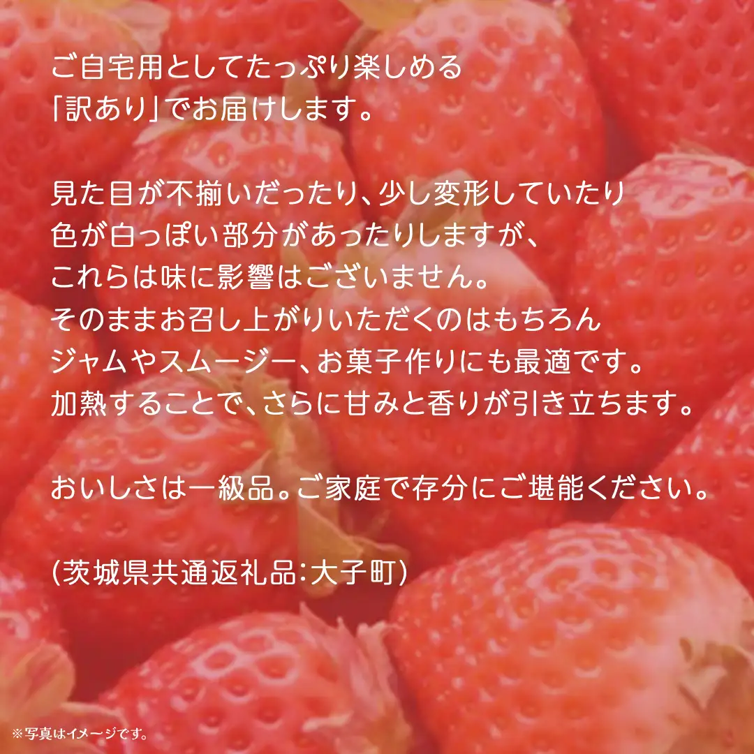 訳あり いちご 2kg【2026年12月上旬発送開始】(茨城県共通返礼品：大子町) 苺 果物 フルーツ 果実 ご家庭用