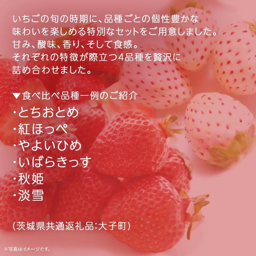 いちごの 食べ比べ 4品種×1パック【2026年12月上旬発送開始】(茨城県共通返礼品：大子町) いちご 苺 果物 フルーツ 果実