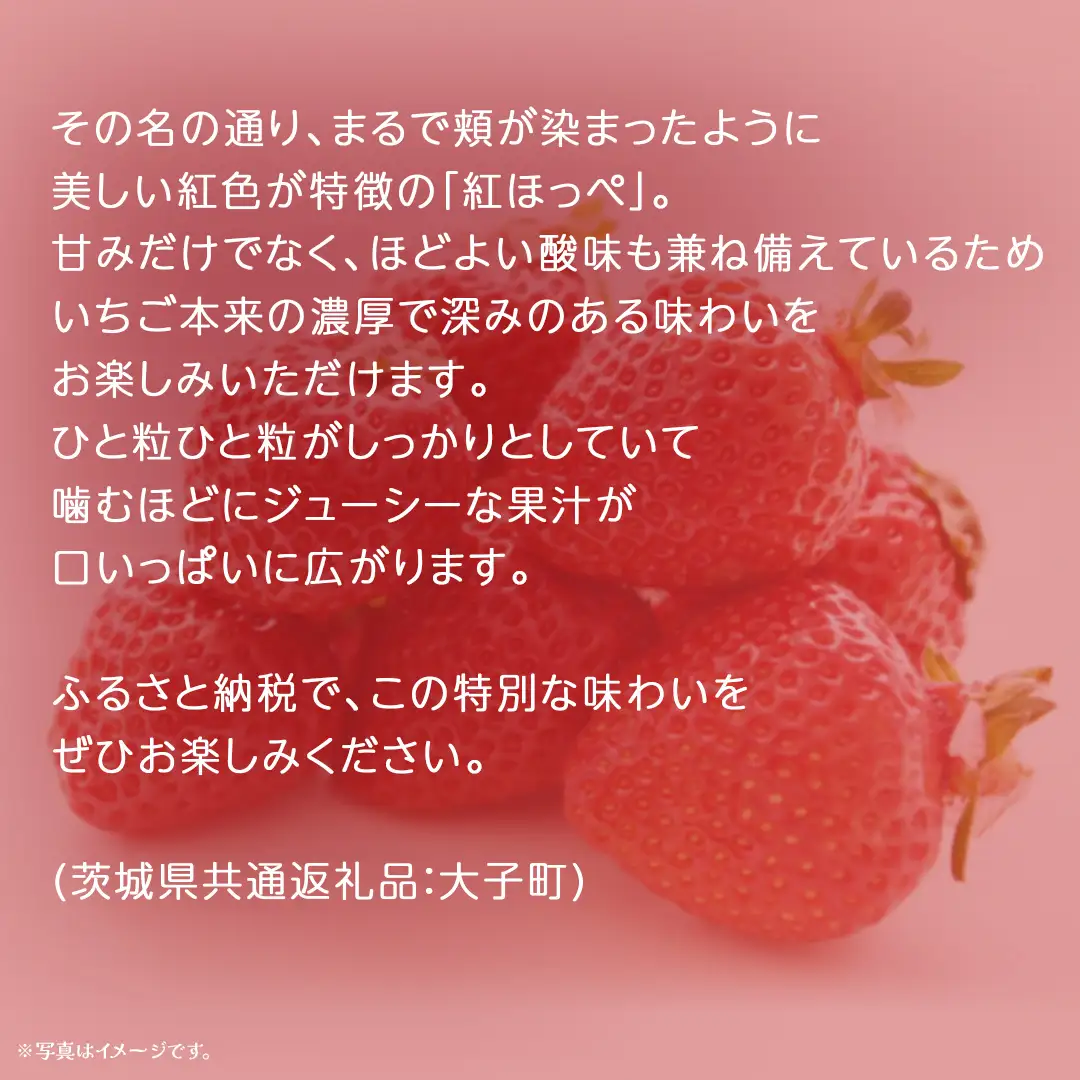 【 お歳暮 熨斗付き 】 紅ほっぺ 250g（8～12粒）×4パック (茨城県共通返礼品：大子町)