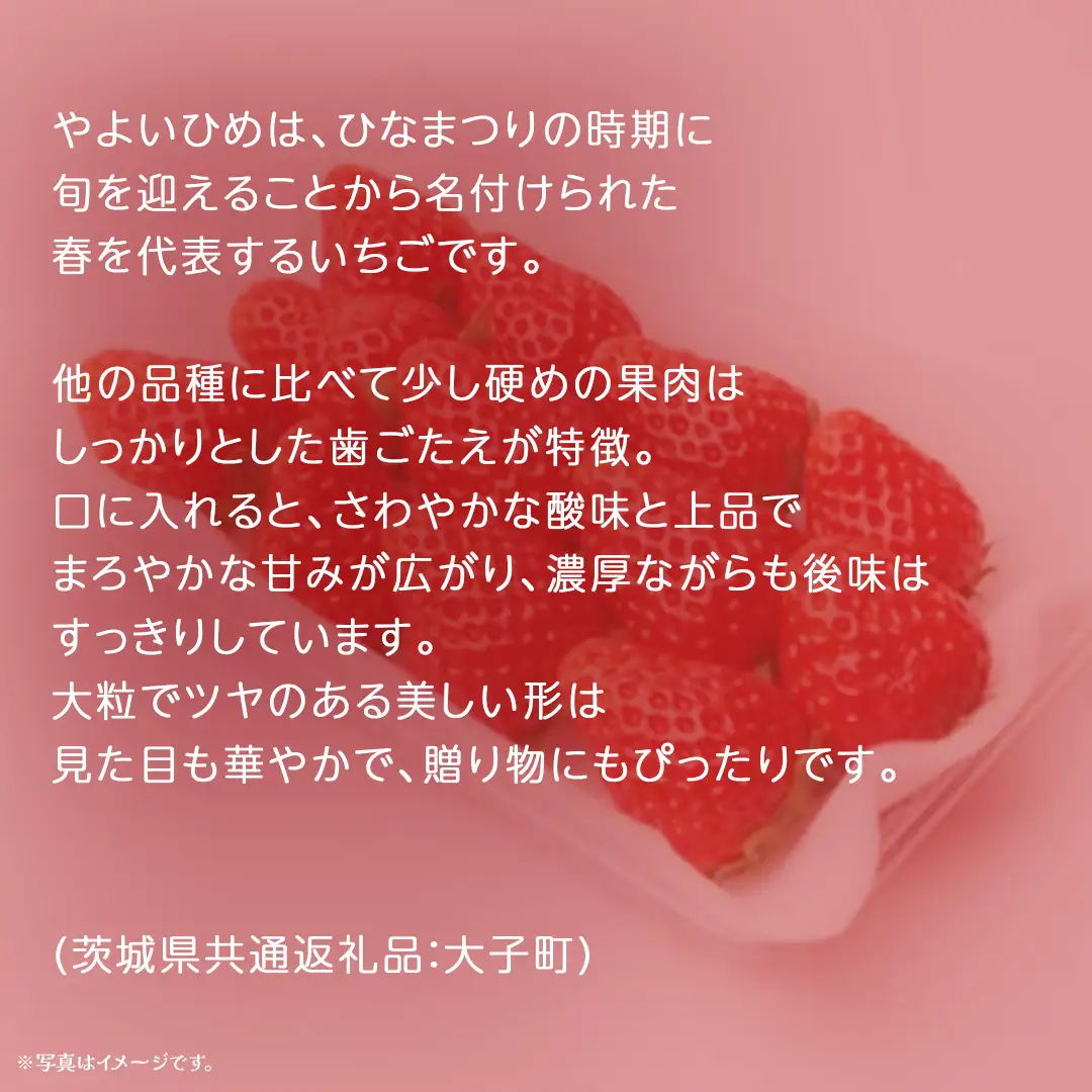 【 お歳暮 熨斗付き 】 やよいひめ 250g（8～12粒）×4パック (茨城県共通返礼品：大子町)