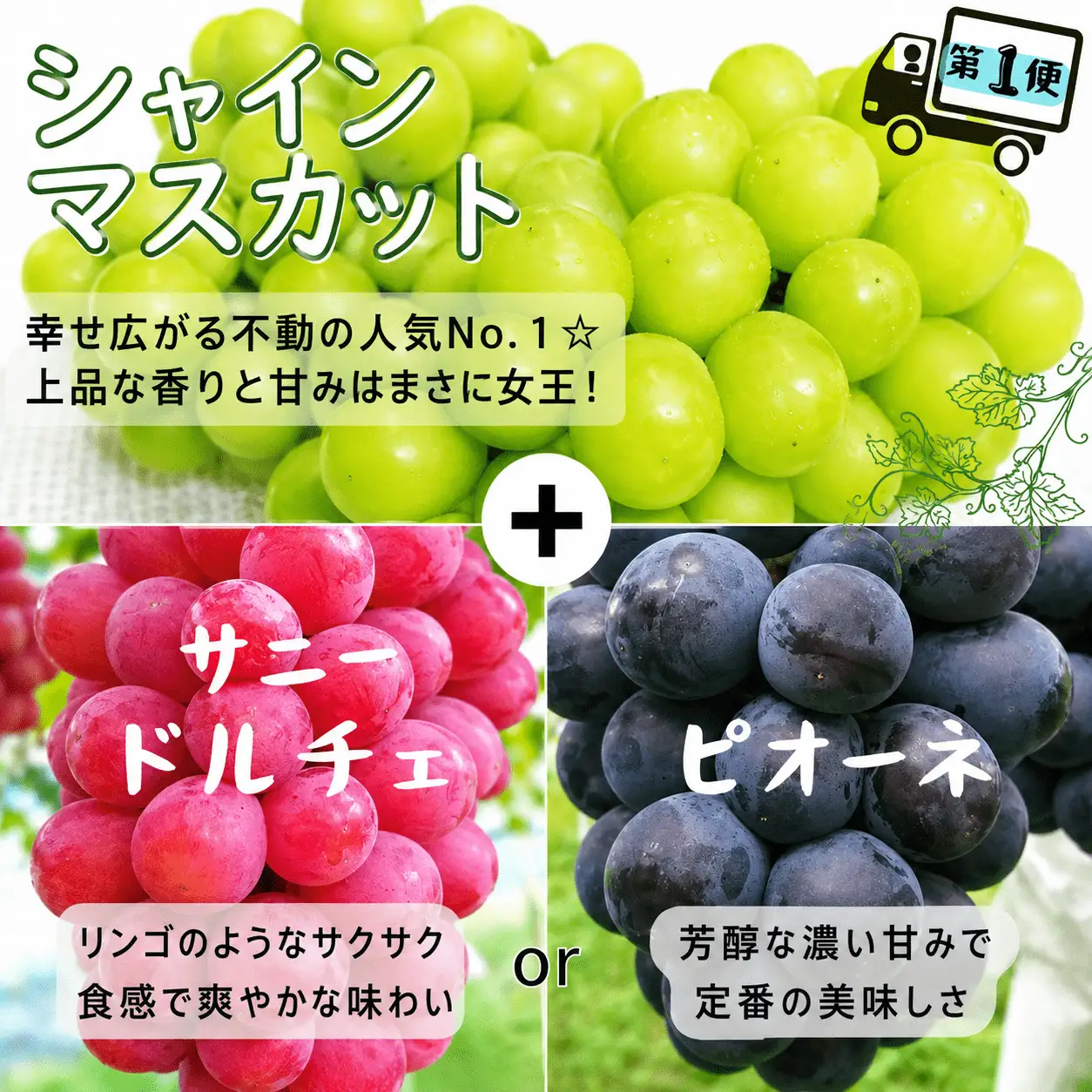 【2回定期便】 シャインマスカット 岡山県産ブドウ シャインマスカット＆マイハート入り定期便2.4kg(４～６房)  【hfbd-tkb005-02】