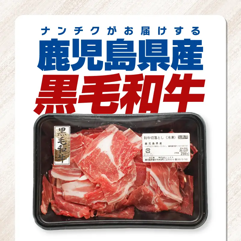 鹿児島県産 黒毛和牛 切り落し 計500g KN102-006-01 肉 牛肉 冷凍