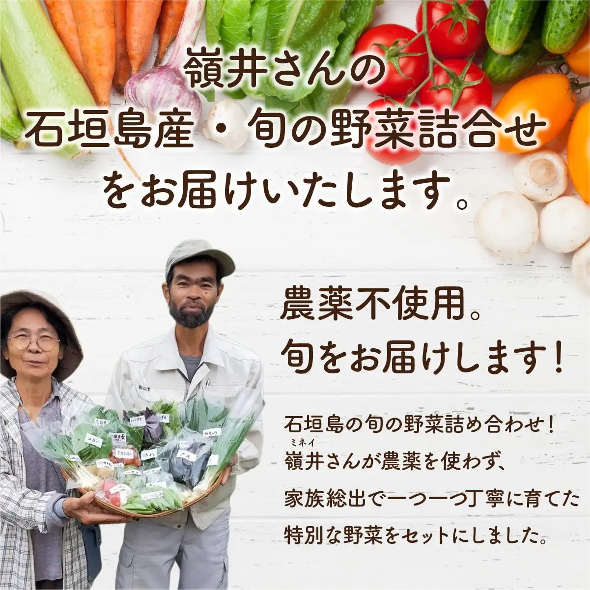 嶺井さんの石垣島旬の野菜詰合せ（標準セット）OI-22