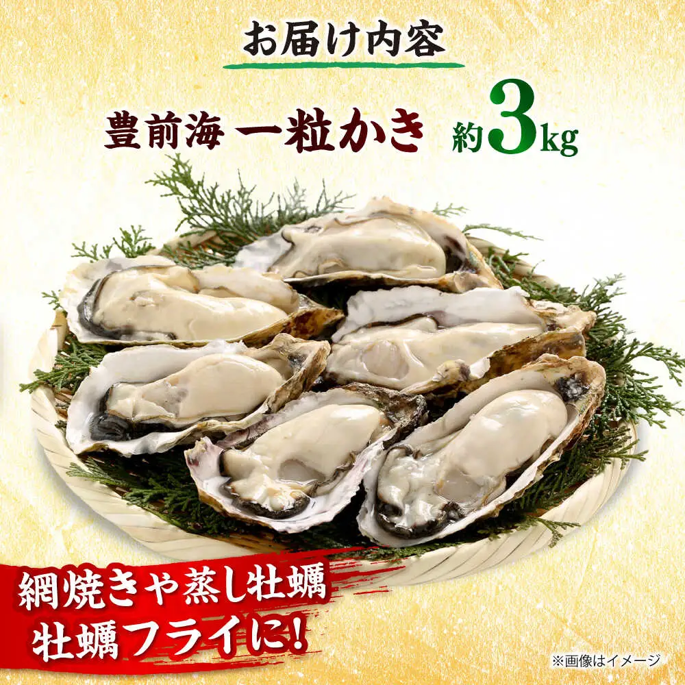 【先行予約】 豊前海 一粒かき 約3kg[BGBD002]牡蠣