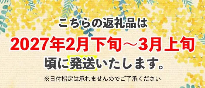 ＜ミモザの季節限定！2月下旬以降発送予定＞ミモザパウンドケーキ～幸せの箕面イエロー～(1本) スイーツ ケーキ おしゃれ かわいい 可愛い ミモザ ミモザスイーツ 限定 期間限定 春 黄色 イエロー 花 フラワー プレゼント 【m101-01】【ミモザの日inJAPAN推進箕面組織委員会】