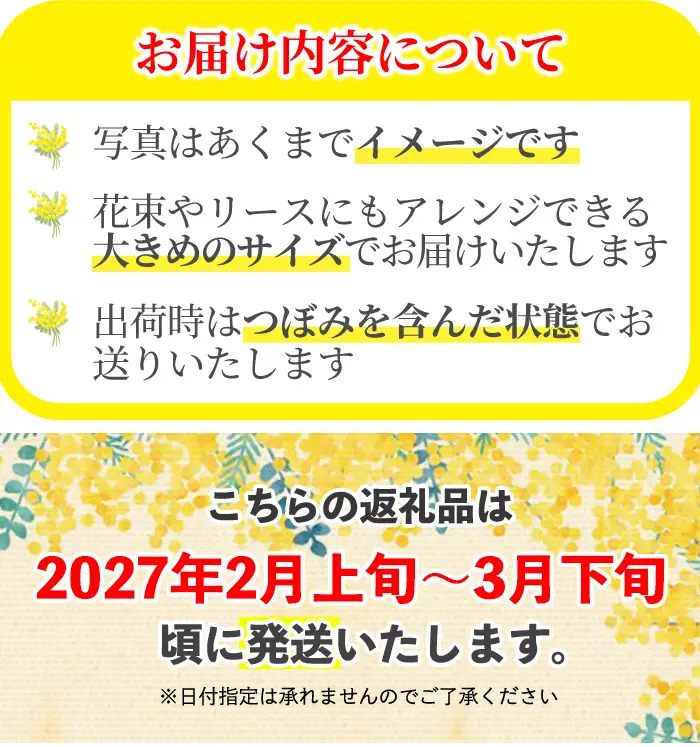 ＜ミモザの季節限定！2月上旬以降発送予定＞箕面産ミモザ切り花(5本) ミモザ 生花 本物 切り花 切り枝 大きい 産地直送 花束 アレンジ リース 素材 材料 お花 季節 旬 イエロー 【m101-03】【ミモザの日inJAPAN推進箕面組織委員会】