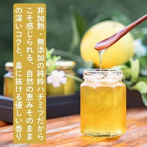 国産みかんはちみつ：伊豆の陽だまり みかんの生はちみつ（贈答用150g×2本） 1378 ／ Honey・D  国産 ハチミツ 非加熱 無添加 静岡県 東伊豆町