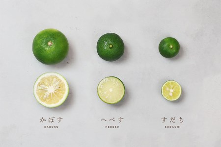 日向へべす パウンドケーキ(1本)