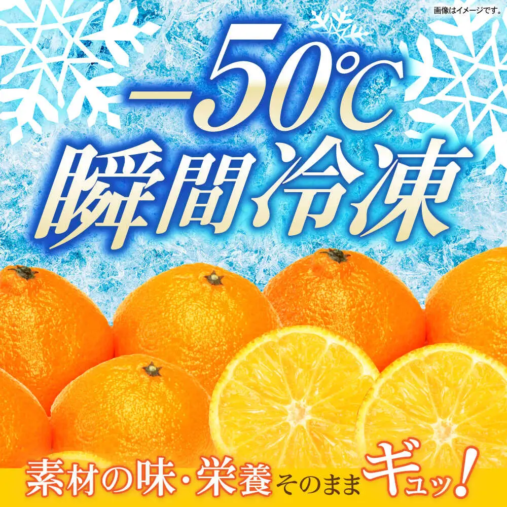 長崎冷果 みかん 6袋セット / 冷凍 冷凍フルーツ みかん ミカン 柑橘 / 諫早市 / エスジーエス株式会社[AHEQ002]