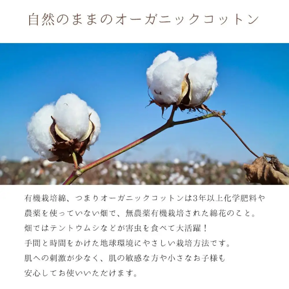 敷きパッド 紀州ネルでつくる日本製コットン敷パッド セミダブル