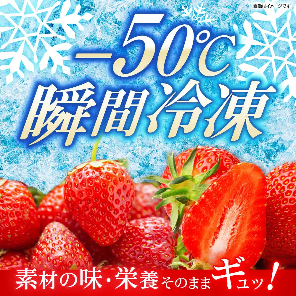 【業務用】大容量 長崎いちご 4袋セット / 冷凍 冷凍フルーツ いちご イチゴ 苺 2kg / 諫早市 / エスジーエス株式会社[AHEQ005]