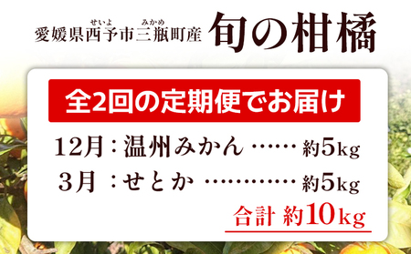【先行予約】＜訳あり 旬の柑橘定期便 2回（温州みかん 約5kg・せとか 約5kg）＞ 数量限定 産地直送 自宅用 家庭用 みかん ミカン 蜜柑 柑橘 フルーツ 果物 果実 特産品 旬 玉やま農園 愛媛県 西予市【常温】『1回目：2026年12月／2回目：2027年3月に順次出荷予定』 MTN0008