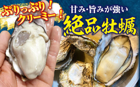 訳あり 生牡蠣 カンカン焼き30個 牡蠣[XBK019]