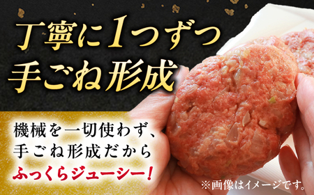 ハンバーグ 佐賀牛手ごねハンバーグ NAB133