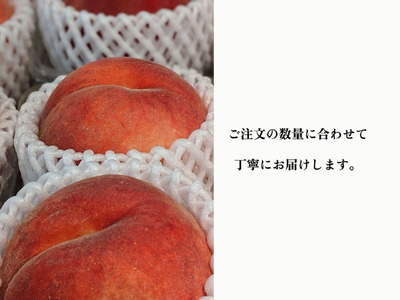 ＜2026年発送先行予約＞【7月上旬お届け】品種おまかせ！山梨県産の旬の桃 約4kg（約10～12玉） ALPDS017