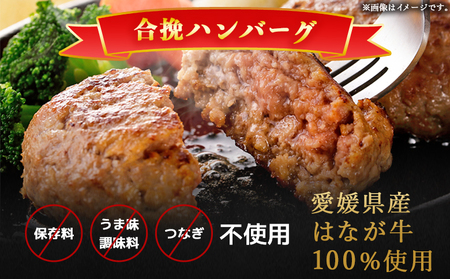 ＜合挽ハンバーグセット 10個（1個150g）＞ セット ハンバーグ はんばーぐ 合挽肉 肉 お肉 牛肉 豚肉 肉加工品 お惣菜 洋食 おかず 弁当 国産 小分け 個包装 簡単調理 特産品 ゆうぼく 愛媛県 西予市 【冷凍】『1か月以内に順次出荷予定』 UYB0015