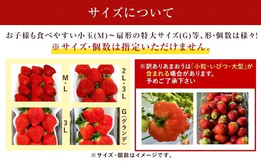 うるう農園のあまおう 4パック ＋ 1パック 合計5パック（約1425g） 訳あり あまおう （小粒・いびつ・大型） 【2027年3月上旬～4月上旬発送予定】 苺 いちご イチゴ 果物 フルーツ デザート 冷蔵