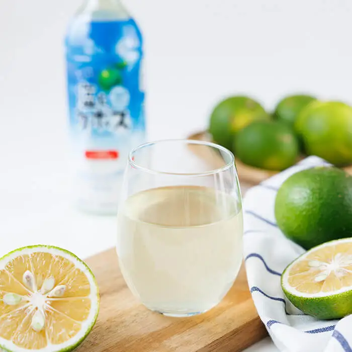 塩とカボス (495ml×24本) かぼす ドリンク ジュース カボス 塩 飲料 ペットボトル 防災 常温 【opbz016】【さいき本舗 城下堂】