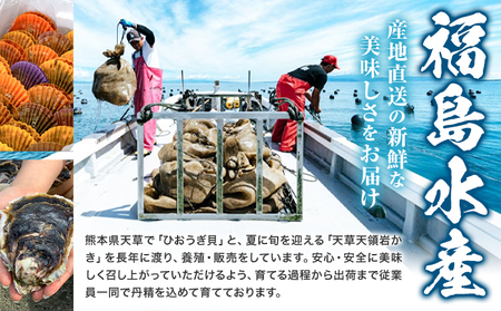岩牡蠣 定期便 2回 5kg カキ 岩かき 福島水産