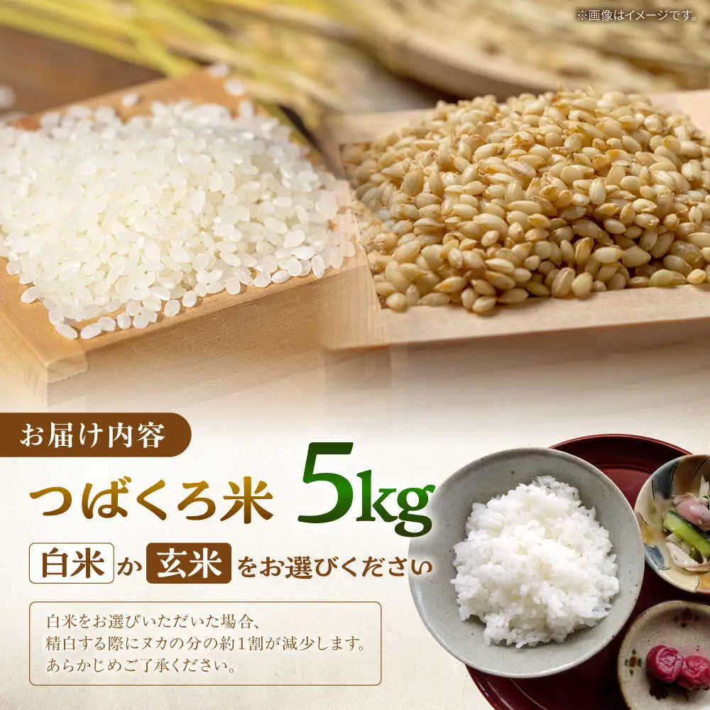令和7年産 米 5kg 黒川つばくろ農園[AWCB001]米