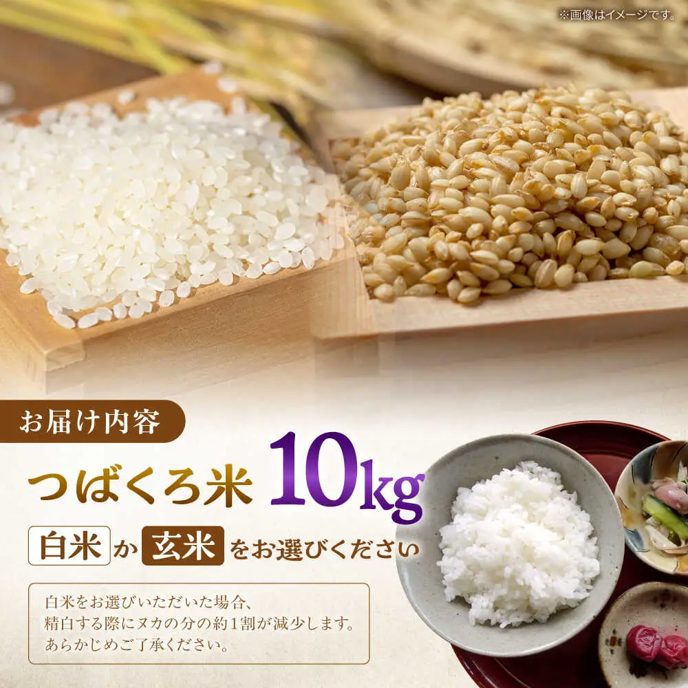 令和7年産 米 10kg 黒川つばくろ農園[AWCB002]米