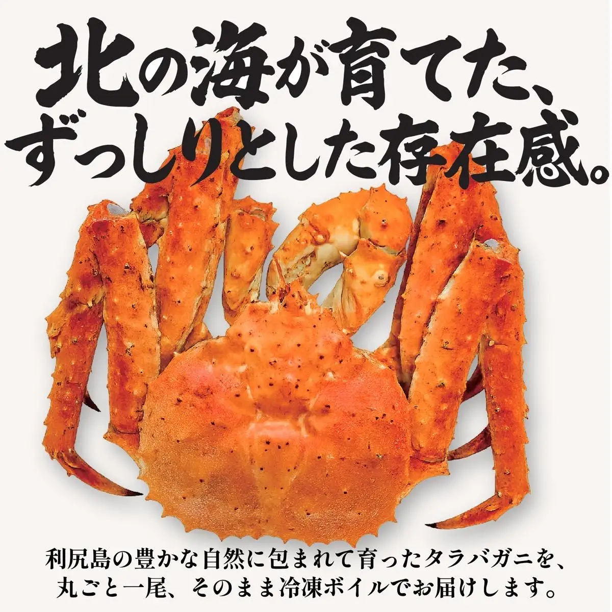 北海道 利尻島産 タラバガニ 丸ごと１尾 3.6kg以上｜冷凍ボイル 国産 蟹 たらば カニ  茹で蟹 魚介類 [1110009]