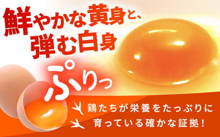 【全6回定期便】お茶と海藻で健康育ち 元気卵 360個（60個×6回） / たまご タマゴ 玉子 鶏卵 / 亀山市 / 藪本養鶏園[AMBH010]