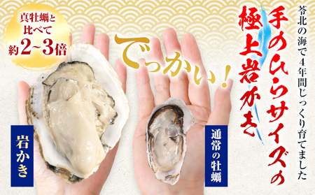岩牡蠣 定期便 2回 1.5kg カキ 岩かき 浜崎水産