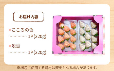 先行予約 2027年2月～発送 淡雪・こころの色 白いちごプレミアム 計440g（220g×2パック） 【岸川農園】[IAP045]