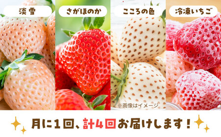 【先行予約 2027年1月〜発送】【4回定期便】淡雪・さがほのか・こころの色・冷凍いちご いちご