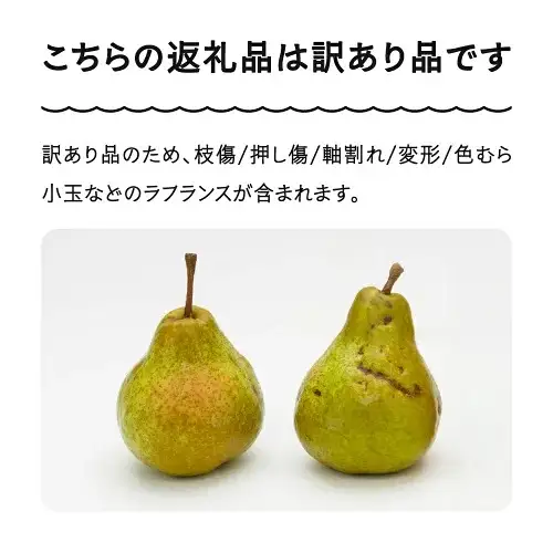 令和8年産 ラ・フランス 洋梨 訳あり 約5kg ns-lawax5